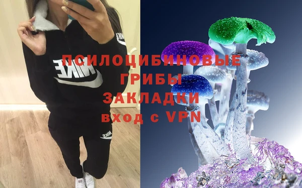 крисы Алексин
