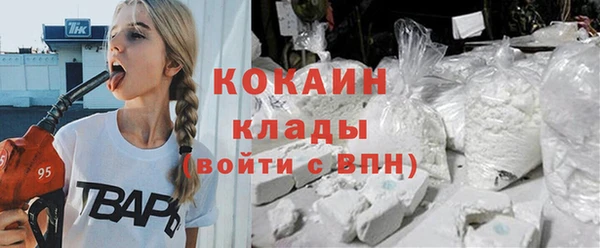 стаф Алзамай