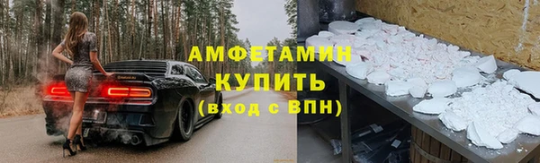 стаф Алзамай