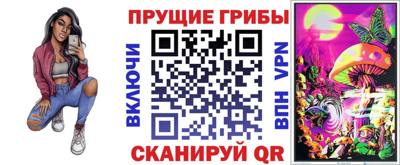 mega ТОР  Орехово-Зуево  Псилоцибиновые грибы мицелий 